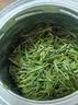 竹叶青金奖绿茶 峨眉山2026特级50g*2伴手礼 四川名片熊猫礼盒15010 实拍图