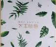 植物主义化妆品彩妆礼盒套装气垫BB霜隔离眼影口红眉笔眼线笔散粉孕妇可用 实拍图