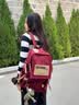 viney双肩包书包女百搭大容量初中生高中大学生背包大学生15英寸电脑包 【红色】高颜值通勤时尚通勤旅行包+青蛙挂件 实拍图