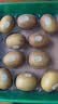 佳沛（zespri）新西兰金奇异果10粒巨大果146-175g猕猴桃中秋节礼品送水果礼盒 实拍图