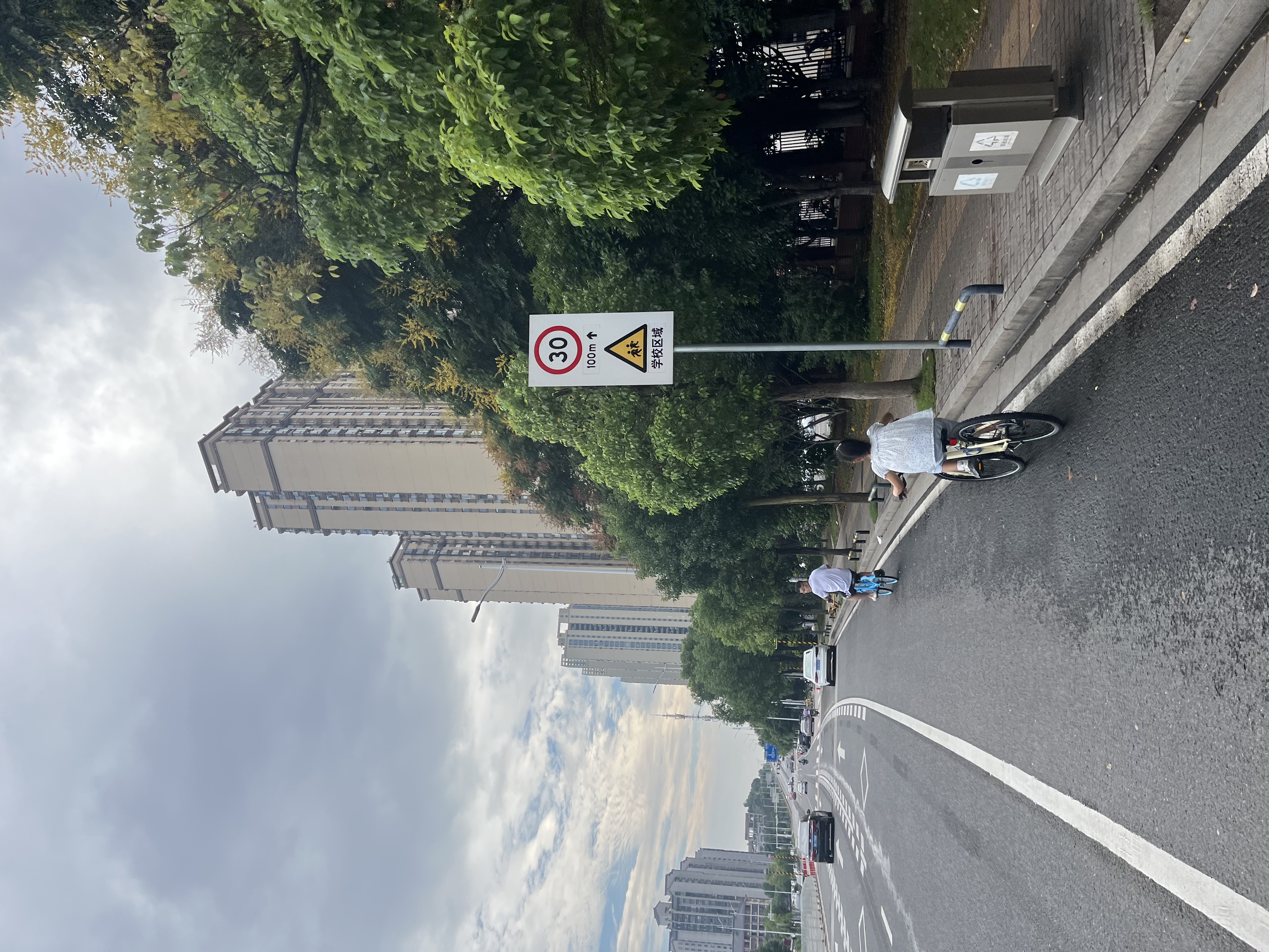 迪卡侬山地自行车锁防盗锁密码锁钢缆锁自行车配件OVBK 黑色密码锁 实拍图