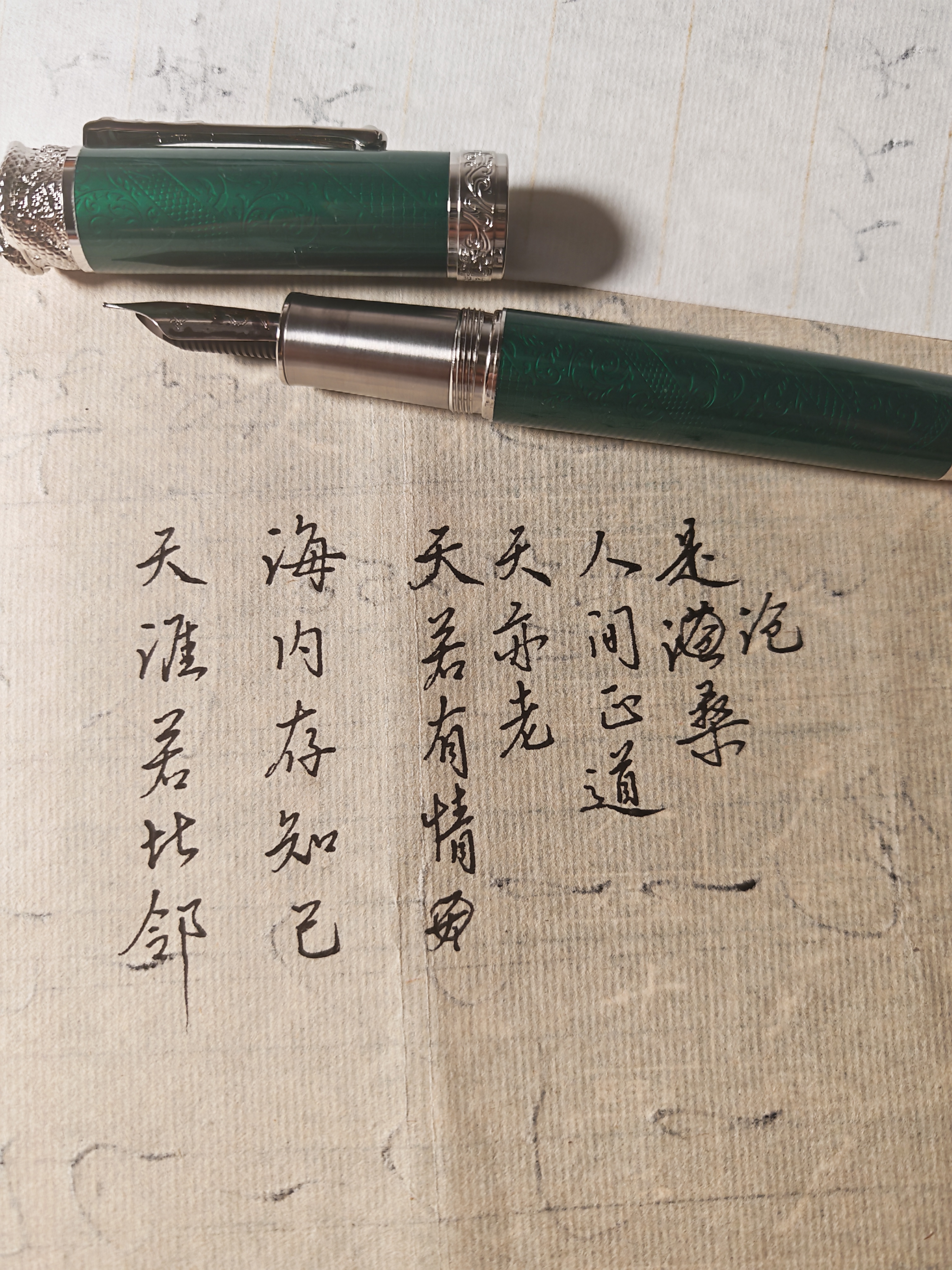 弘典钢笔蛇年限定男女高档精致成人练字商务办公活塞上墨书法笔N25生肖系列送礼礼盒装 绿色【黑金礼盒带18ml小墨水】 F尖 实拍图