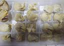 思念大虾仁水饺400g*3袋约60只(鲜美虾仁+虾仁玉米+菌菇三鲜)早餐饺子 实拍图