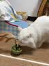憨憨乐园猫薄荷玩具木天蓼羽毛逗猫棒猫玩具猫咪玩具小猫幼猫自嗨解闷磨牙 实拍图