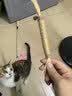 HELLOJOY木天蓼猫咪磨牙棒猫玩具自嗨解闷拉菲草逗猫棒耐咬幼猫养猫神器 实拍图
