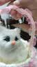 亦趣仿真猫咪玩偶会叫提篮小猫咪毛绒玩具篮子猫女孩儿童生日礼物 提篮粉色蕾丝白猫带叫声 实拍图