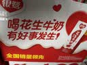 银鹭【任嘉伦推荐】花生牛奶饮料250ml*20盒早餐奶整箱礼盒 实拍图