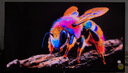 微星（MSI）流光E16 MAG 272UP QD-OLED E16 27英寸4K165Hz 三星面板QD-OLED电脑显示器HDR400游戏电竞显示屏 实拍图