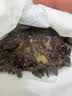 大益TAETEA茶叶普洱茶生茶7542饼茶150g/饼经典标杆口粮茶 批次混发 实拍图