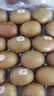 佳沛（zespri）新西兰金奇异果30-33粒原箱103-124g猕猴桃中秋节礼品送水果礼盒 实拍图