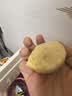 九洲丰园有机藜麦小馒头520g/20只 儿童早餐食品半成品早饭面点粗粮馒头 实拍图