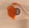 苏泊尔（SUPOR）辅食机婴儿辅食锅 蒸煮搅一体米糊米油辅食料理机 FB12S 实拍图