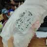 维尼小象兔子玩偶包包洛丽塔背包斜挎包毛绒送女孩生日礼物七夕情人节礼物 实拍图