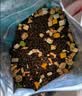 亿迪 冻干猫粮幼猫成猫全阶段布偶蓝猫布偶小包装5斤装 实拍图