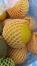 佳沛（zespri）新西兰 阳光金奇异果12粒特大果单果124-146g 猕猴桃水果礼盒 实拍图