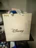 迪士尼（Disney）疯狂动物城朱迪公仔女孩情人教师节生日礼物老师玩偶毛绒抱枕娃娃 实拍图