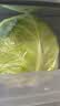 京鲜生山东新鲜绿甘蓝净重3斤 卷心菜 包菜 甘蓝新鲜蔬菜 源头直发 实拍图