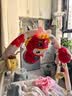 火火兔早教机儿童智能故事机国学机学习机宝宝男孩女孩玩具生日礼物 实拍图
