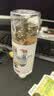 乐品乐茶茶叶茉莉绿茶袋泡茶特级茉莉花茶包饮品自己喝冷泡茶试喝装3g 实拍图