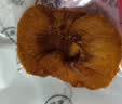 新边界（new boundaries）阿克苏苹果干500g 无添加零食新疆特产高膳食纤维冰糖心蜜饯 实拍图