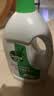 滴露（Dettol）衣物消毒液除菌松木3L 衣服消毒水99.9%杀菌除螨内衣裤配洗衣液 实拍图