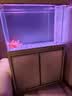 森森（SUNSUN）大型鱼缸底过滤水族箱客厅家用落地玻璃生态金鱼缸 超白隔断屏风款 1米长42cm宽（黑白灰可选） 实拍图