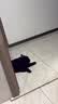 PALAM帕蓝姆小鱼干猫粮幼猫成猫通用增肥发腮全价猫粮10kg 实拍图