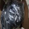 大焊 电焊机家用220v小型直流两相电电子小焊机迷你手提焊机 6米全套接好【315双旋钮220v】 实拍图