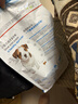 皇家狗粮 幼犬狗粮 宠物 小型犬 MIJ31 全价犬粮 2-10月 2KG 实拍图