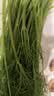 带根香菜100g 实拍图