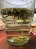 西湖工夫龙井绿茶明前特级老茶树茶叶礼盒350g春茶高端中秋节礼物品送长辈 实拍图