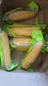 抱抱你 【大棒300g】头茬黄白玉米粘黏甜糯黑玉米棒营养代餐苞米玉米 黄糯玉米14根*300g【头茬大棒】 实拍图