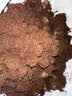 史丹利椰糠砖650g 椰土砖椰砖营养土脱盐花土耶砖种菜通用型 实拍图