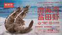 鲜京采 渤海湾盐田海白虾 净重3斤  单冻 75-90只/盒 实拍图