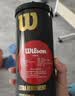 Wilson威尔胜TITANIUM 训练网球罐装 3颗装【球上数字随机】 实拍图