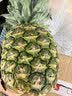 佳农黑钻菠萝1粒装 菲律宾凤梨 净重2斤+ 生鲜水果 中秋送礼 实拍图