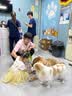 来旺兄弟宠物剃毛器专业留毛6mm狗狗电推剪长毛宠中大型犬夏季修毛器 实拍图