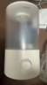 苏泊尔（SUPOR）加湿器小型落地净化器卧室办公桌面家用增湿器大容量雾化加湿器空调伴侣21B 实拍图