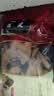 蘇阿哥【自饮实惠装】新会老陈皮老陳皮干橘子陈皮袋装广东特产 【自饮实惠装】 250g*1包 老陳皮 实拍图