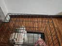 腆宠狗笼狗窝猫笼狗笼子中小型犬带厕所猫笼子大号家用室内狗围栏兔笼 实拍图