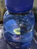 脉动三口味青柠桃子雪柚橘子600ML*15瓶电解质水低糖饮料维生素水整箱 实拍图