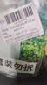 珀莱雅小球藻面膜补水保湿海藻补水玻尿酸面膜生日礼物七夕情人节礼物 实拍图