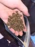 醇粹黑标鸭肉梨狗粮小型犬冻干粮 成犬幼犬柯基泰迪通用型粮1.5kg3斤 实拍图