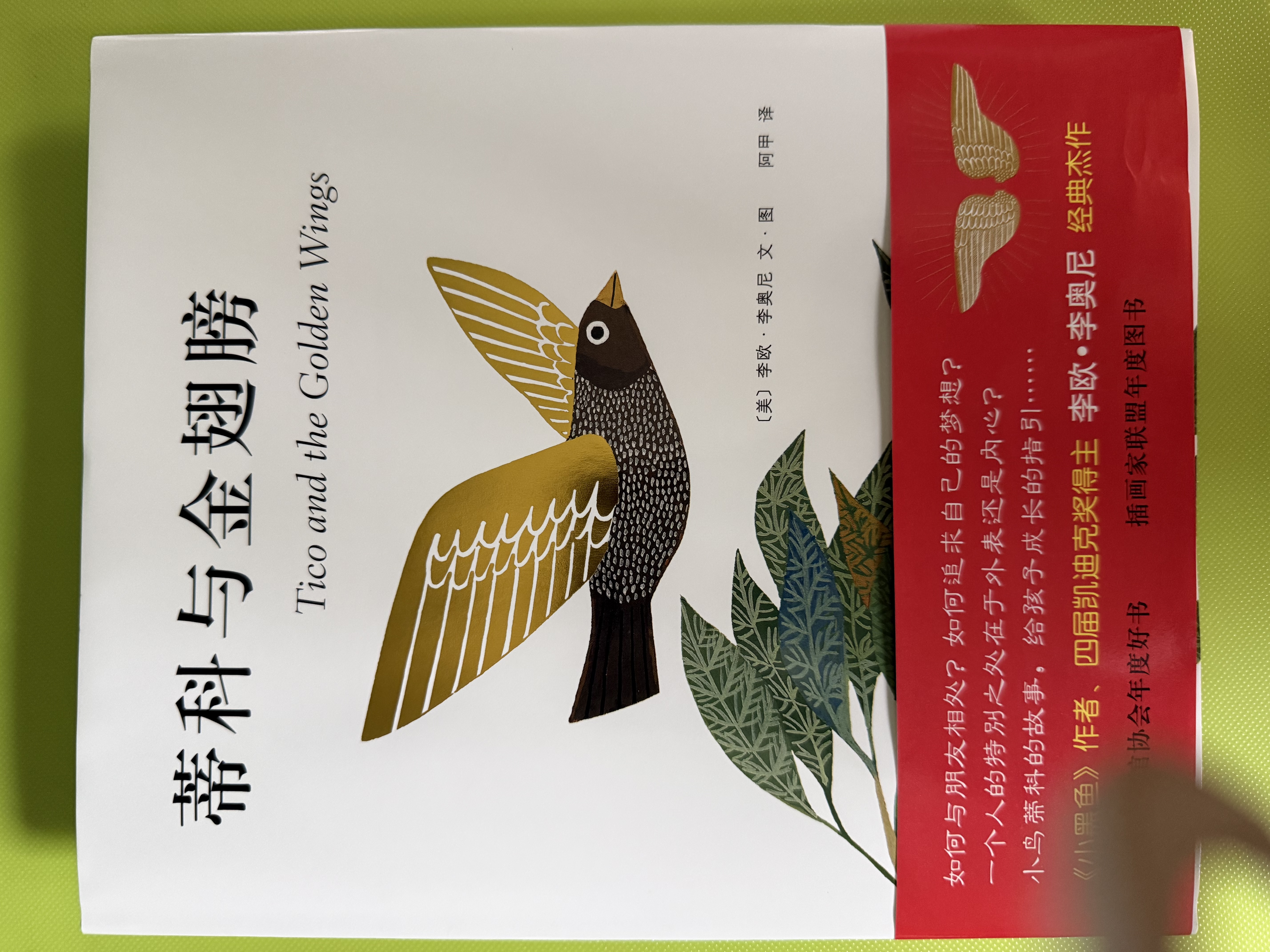 蒂科与金翅膀 （爱心树童书）  实拍图