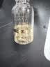 伊思（It’s skin）晶钻蜗牛24K黄金精华液100ml亮肤补水收缩毛孔护肤品生日礼物女 实拍图
