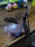 CFA赛级逗猫棒猫咪玩具长杆羽毛替换头耐抓咬猫玩具用品自嗨解闷 CFA赛级长杆逗猫棒-木杆弹簧款 实拍图