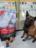 力狼（LILANG）狗粮成犬幼犬中大型犬通用拉布拉多金毛阿拉斯加法斗德牧马犬犬粮 【经典爆款】成犬专用20kg HOT 实拍图