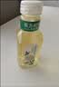 农夫山泉东方树叶茉莉花茶335ml*15瓶无糖茶饮料0糖0脂0卡小瓶整箱装 实拍图