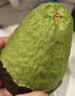 京鲜生 秘鲁牛油果4粒装单果130g+（非即食） 生鲜水果 实拍图