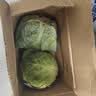 山东新鲜甘蓝包菜卷心菜圆白菜新鲜嫩绿莲花白现摘现发早餐减脂 新鲜包菜 4.6斤净重 人工挑拣 实拍图